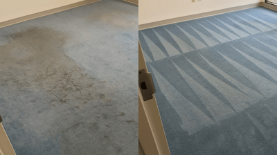 Carpet cleaning and maintenance chemistry Photo